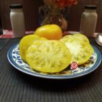 Dwarf Golden Heart Tomato