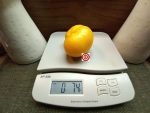 Dwarf Golden Heart Tomato - Image 2