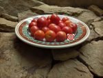 Dwarf Johnson's Cherry Red Tomato