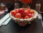 Dwarf Johnson's Cherry Tomato