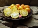 Dwarf Kangaroo Paw Yellow Tomato Seeds
