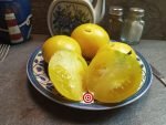 Dwarf Lemon Ice Tomato Seeds