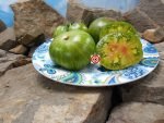 Dwarf Peppermint Stripes Tomato Seeds.