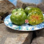 Dwarf Peppermint Stripes Tomato Seeds.