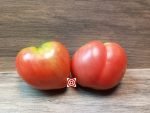 Dwarf Pink Passion Tomato