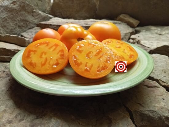 Dwarf Qiyanai Huang Tomato-Bounty Hunter Seeds-Heirloom Seed