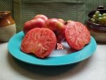 Dwarf Sweet Adelaide Tomato