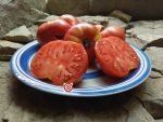 Dwarf Sweet Adelaide Tomato Seeds