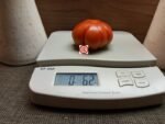 Finocchiaro's Ribbed Red Tomato Slicer