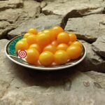 Flaming Burst Tomato