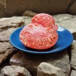 Fred Limbaugh's Potato Top Tomato