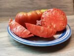 Garrison Tomato
