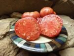 Garrison Tomato by Randy Sine