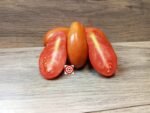 Gary's Late Canner Tomato Seeds