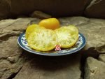 Dwarf Golden Heart Tomato - Image 4