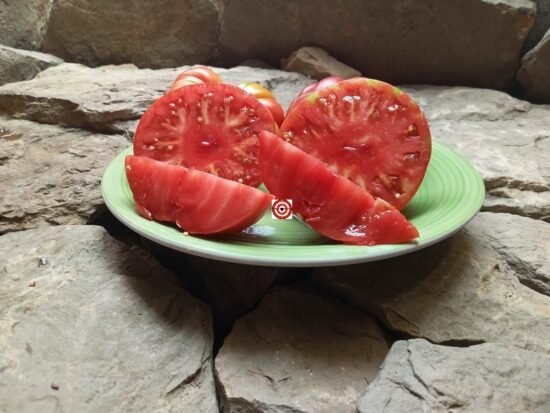 Heirloom Tomato Dr. Neal Tomato
