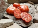 Heirloom Tomato Finocchiaro's Ribbed Red Tomato