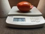 Heirloom Tomato Polish Linguisa Tomato