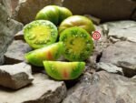 Hippie Zebra Tomato