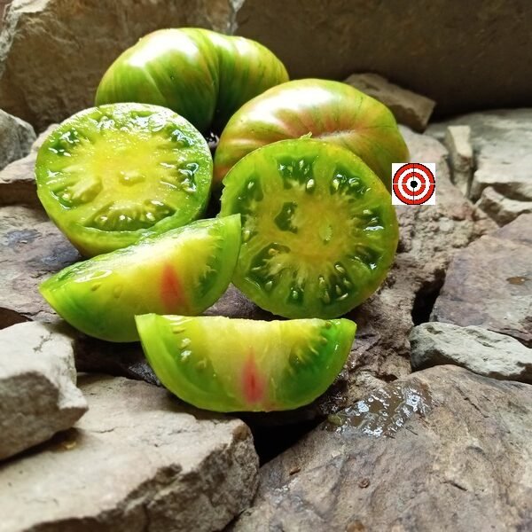 Hippie Zebra Tomato