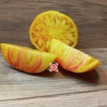 Holyland Yellow Strain Tomato Seeds