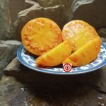 Maiden's Gold Tomato Beefsteak