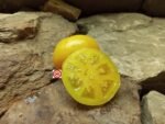 Orange Cream Dwarf Tomato