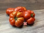Tomato Constoluto Genovese Tomato