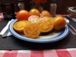 Tomato Djena Lee's Golden Girl Oval Strain Tomato