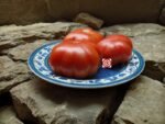 Tomato Finocchiaro's Ribbed Red Tomato