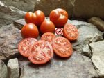 Tomato Red Siberian Tomatoes