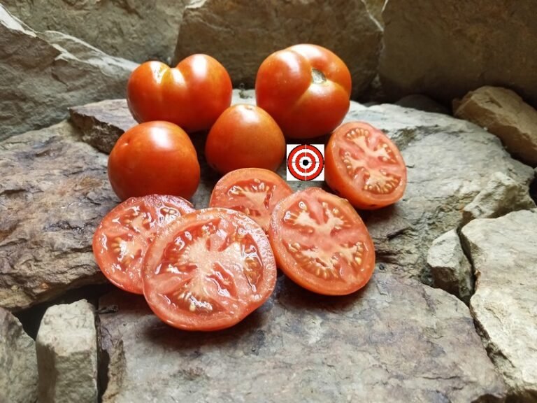 Red Siberian TomatoBounty Hunter SeedsRare Heirloom Seeds