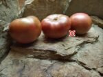 PPP x PPC Tomato Seeds
