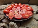 Paste Tomato Chico III Tomato