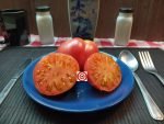 Dwarf Pink Passion Tomato - Image 6