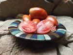 Polish Linguisa Tomato Seeds