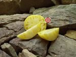Potato Leaf Tomato Casey's Pure Yellow Tomato