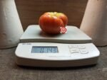 Randy Sine Garrison Tomato