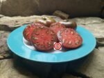Rare Tomato Clear Lake Heirloom Tomato