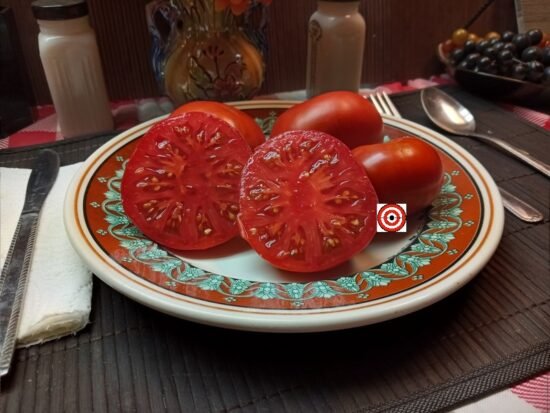 Red Rum Tomato