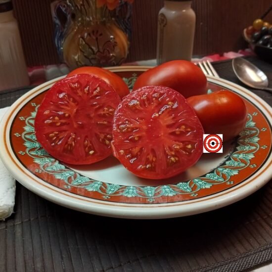 Red Rum Tomato