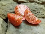 Red Tomato Chittenago Tomato