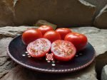 Redfield Beauty Tomato