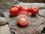 Redfield Beauty Tomato Seeds