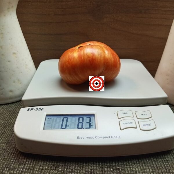 Solar Flare Tomato