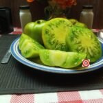Summertime Green Dwarf Tomato