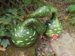 Speckled Swan Gourd - Image 4