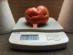 Sweet Adelaide Dwarf Tomato Red