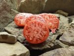 Sweet Adelaide Dwarf Tomato Seeds