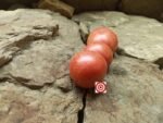 Sweet Carneros Pink Tomato Striped